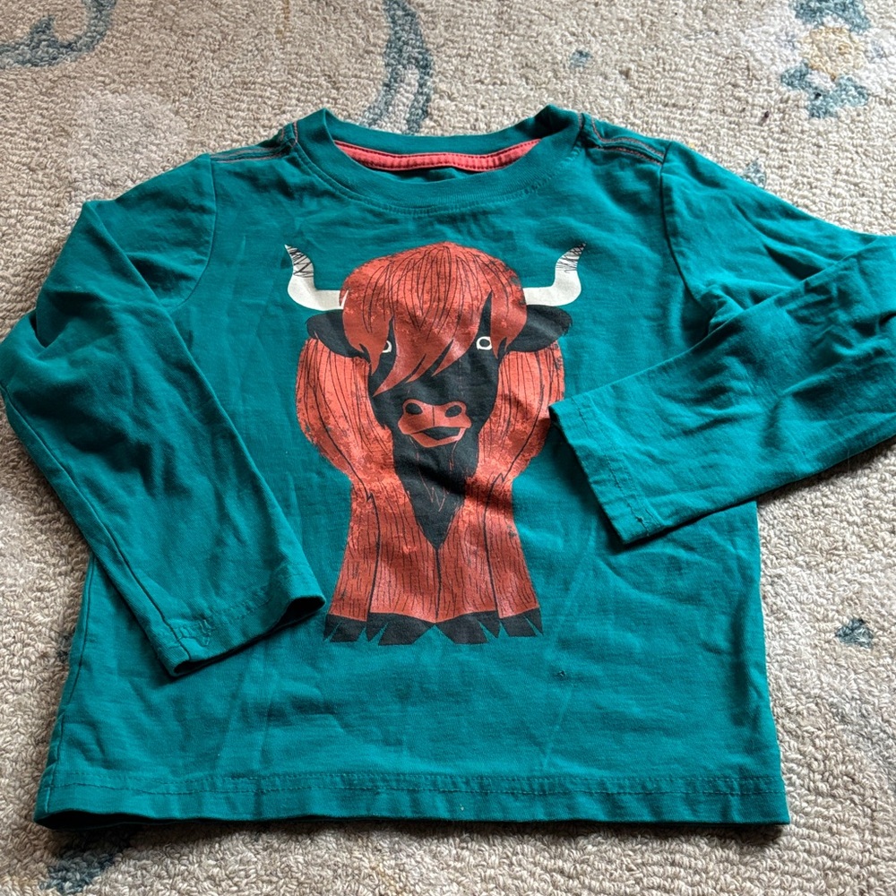 Kids Tea Collection Teal Long Sleeve Shirt with Bull Graphic